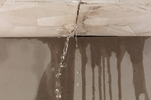 Professional Structural Drying technician working in West Concord, MA